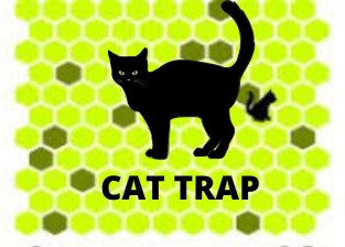 Trap The Cat